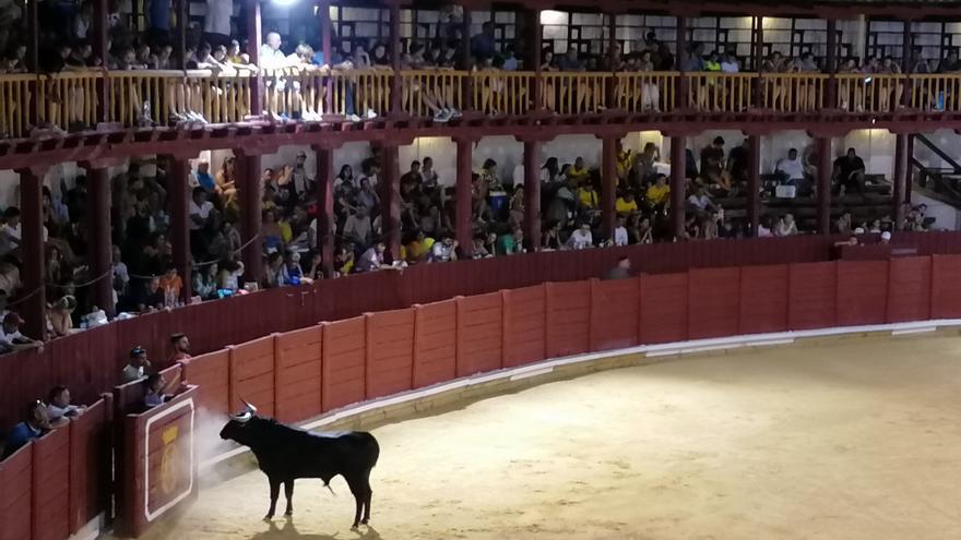 El acceso al palco del coso taurino de Toro enfrenta a PP y PSOE