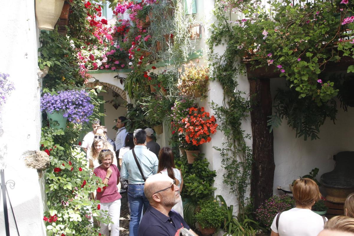 Las últimas visitas a los Patios de Córdoba 2026