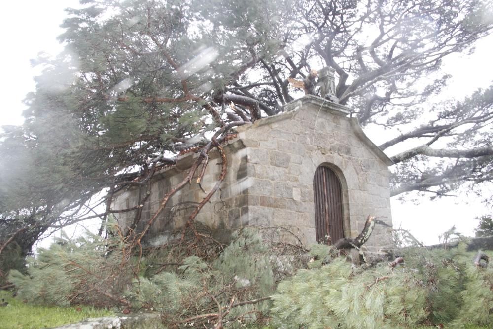 Efectos del temporal en O Morrazo