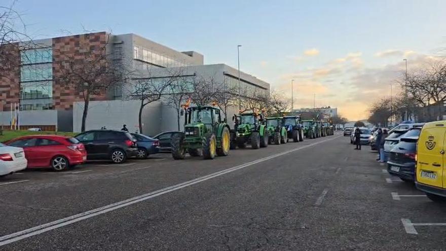 700 agricultores extremeños acudirán a Madrid contra Mercosur y la reforma de la PAC