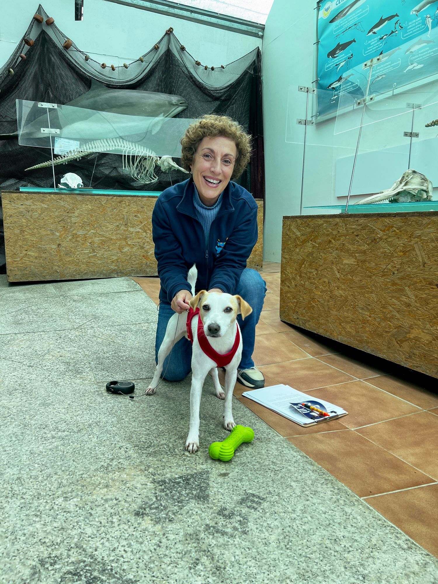 Así disfruta  de las Rías Baixas el perro "influencer" Pipper