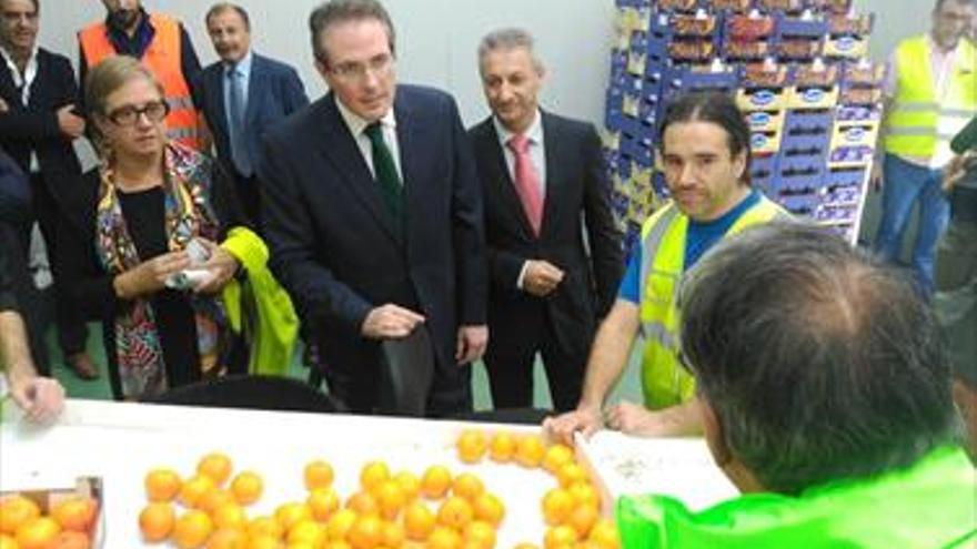 Castellón suma el envío a EEUU de caqui junto a las clementinas