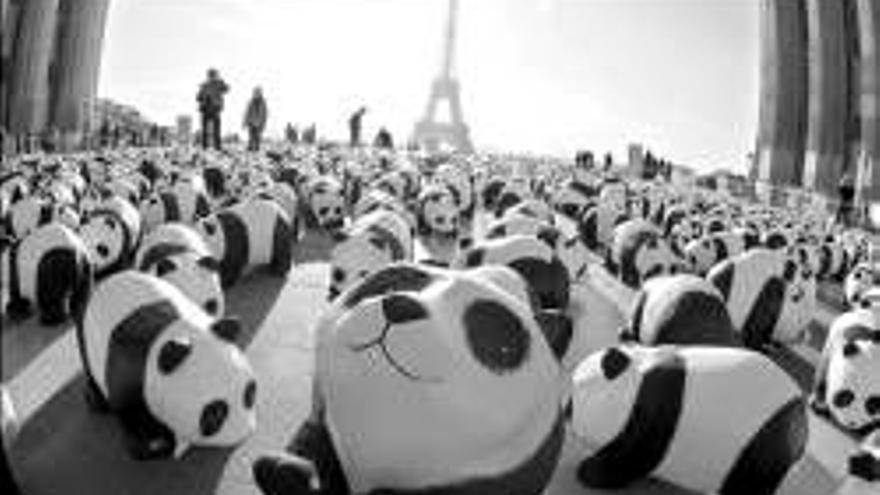 Una organizacion de ecologistasinunda paris de osos panda