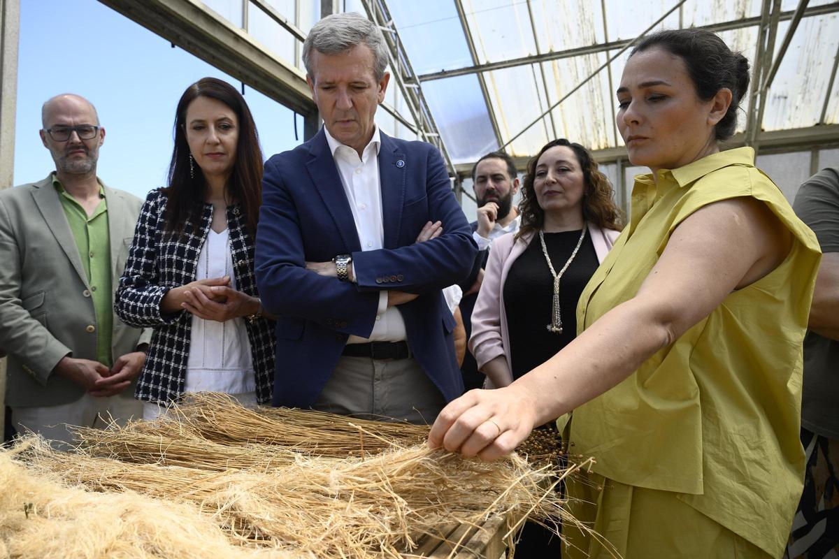 Alfonso Rueda y Adriana Domínguez visitan el invernadero de lino.