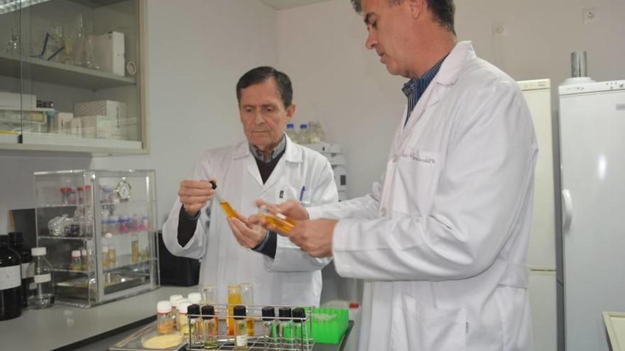 Los investigadores, en uno de los laboratorios de la Politécnica.