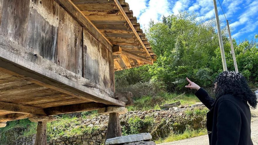 La consejera Vanessa Gutiérrez, ante la protección de los hórreos: “Tamos énte un elementu que forma parte de la identidá asturiana, un iconu patrimonial que nos representa como comunidá”