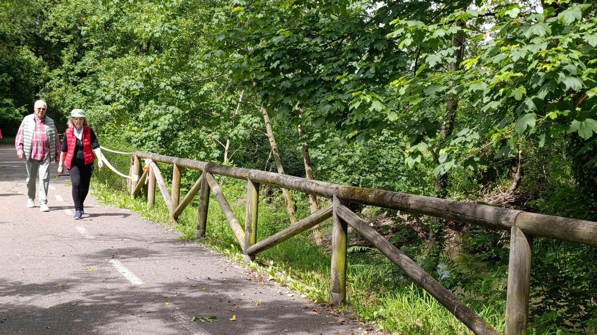 Caminantes en la senda del Nora a su paso por Colloto