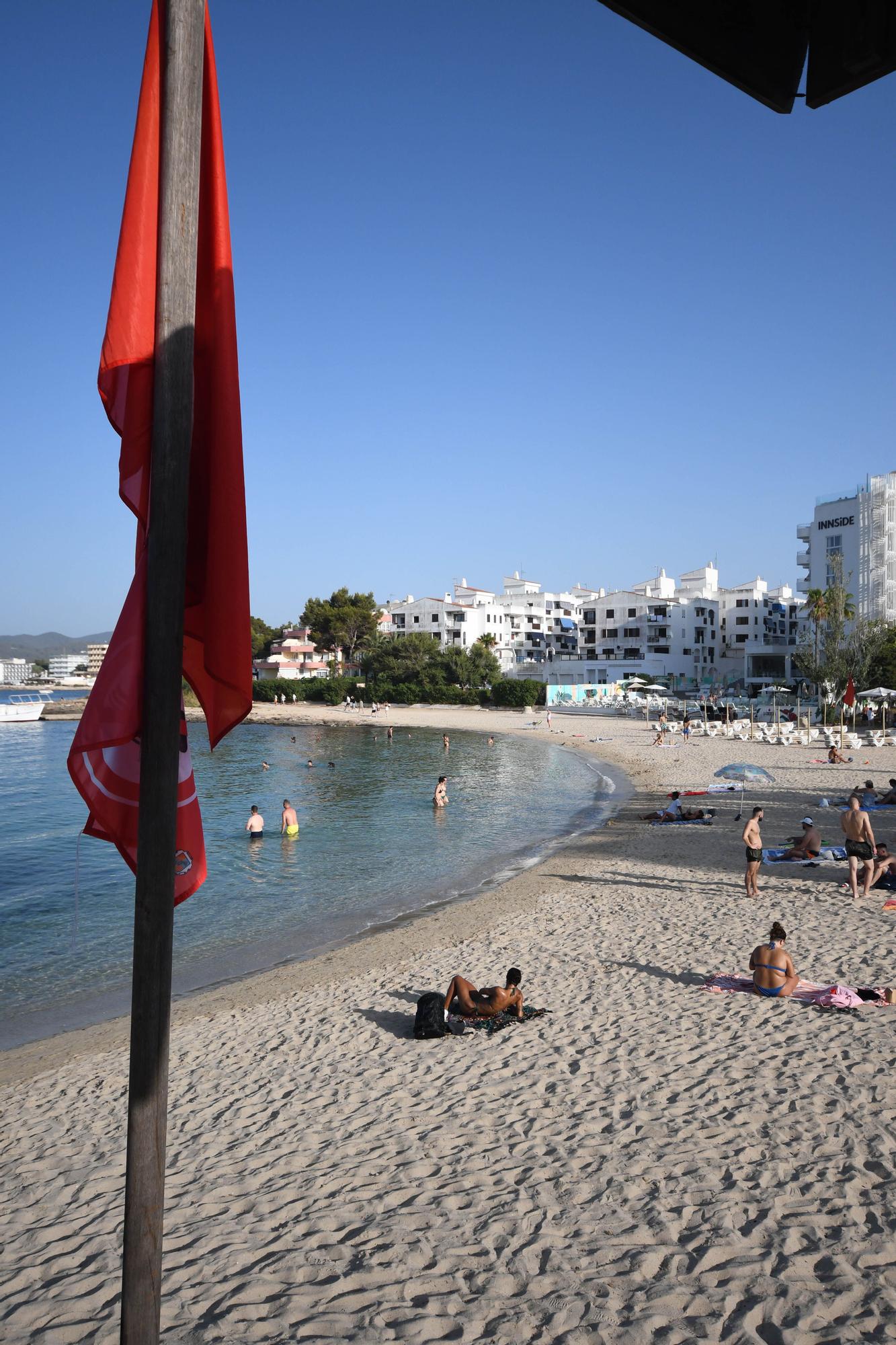 Galería: Cierran la playa de es Pinet por contaminación de fecales