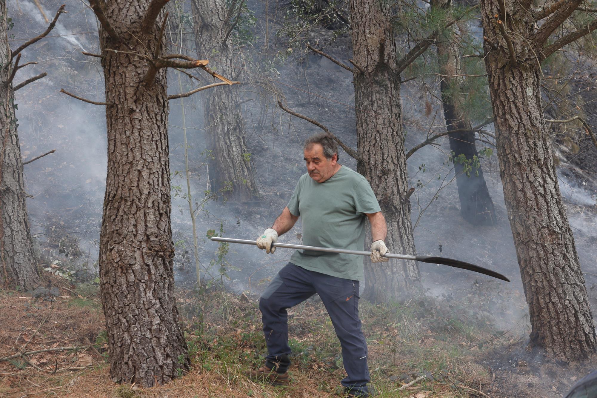 Dura lucha contra los incendios de Tineo y Valdés