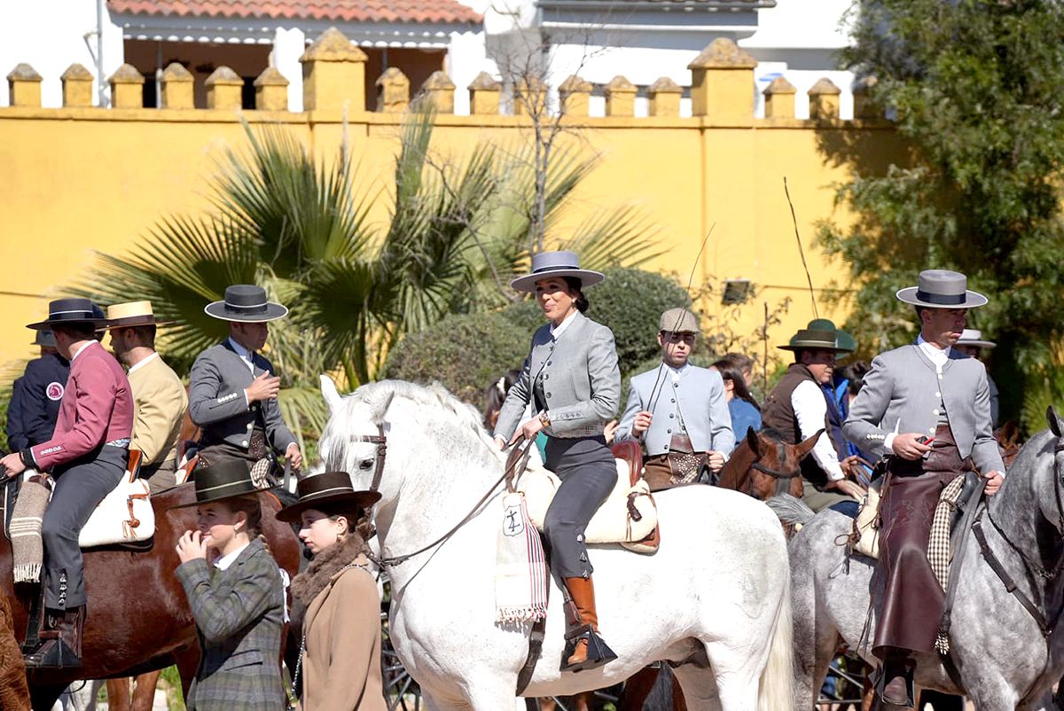 los caballos reinan en Córdoba el 28F