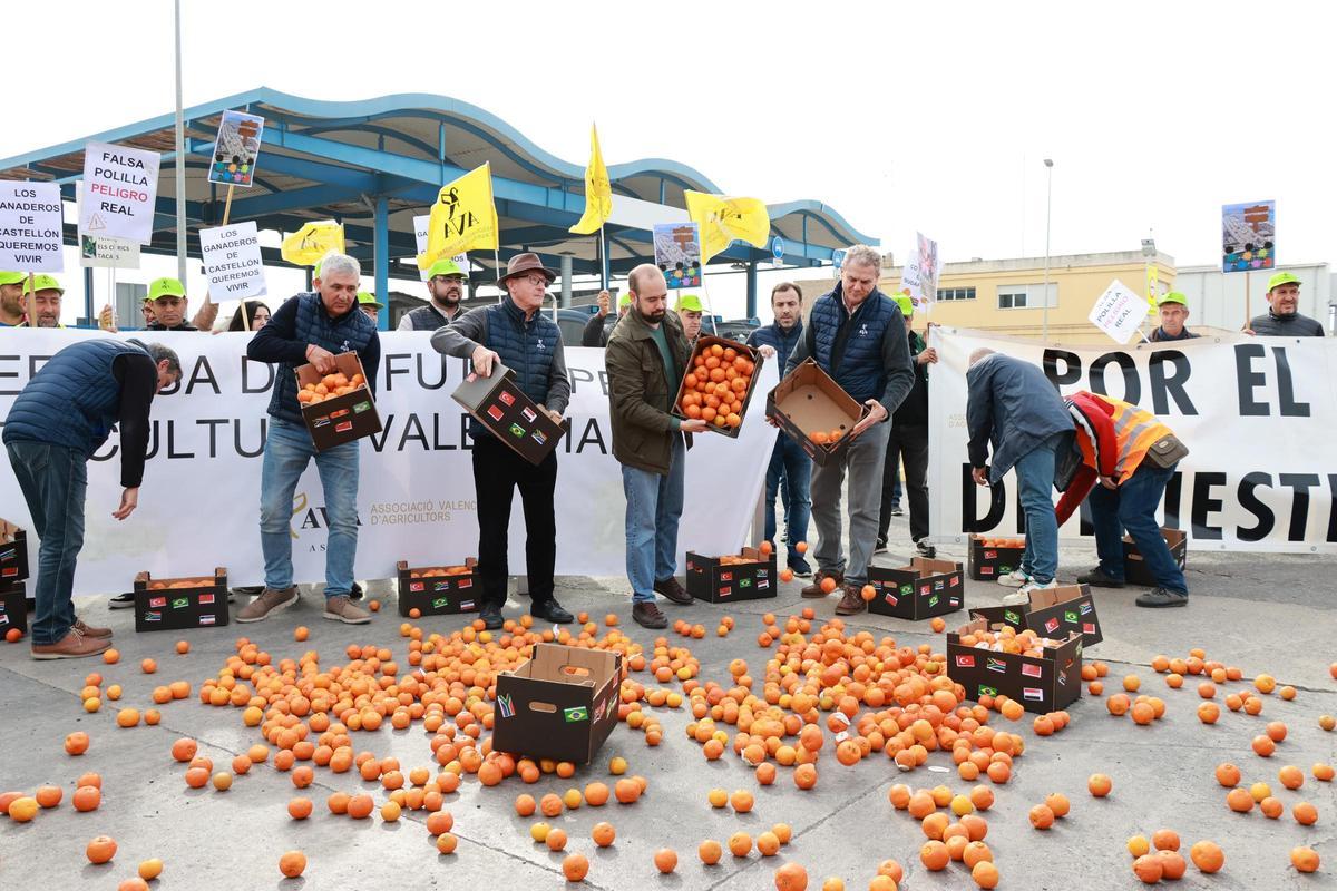 Protesta de organizaciones agrarias en el puerto de Catelló.