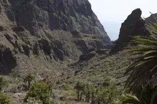 Hallan el cadáver del turista desaparecido en Tenerife hace 29 días