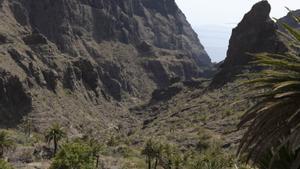 Hallan el cadáver del turista desaparecido en Tenerife hace 29 días