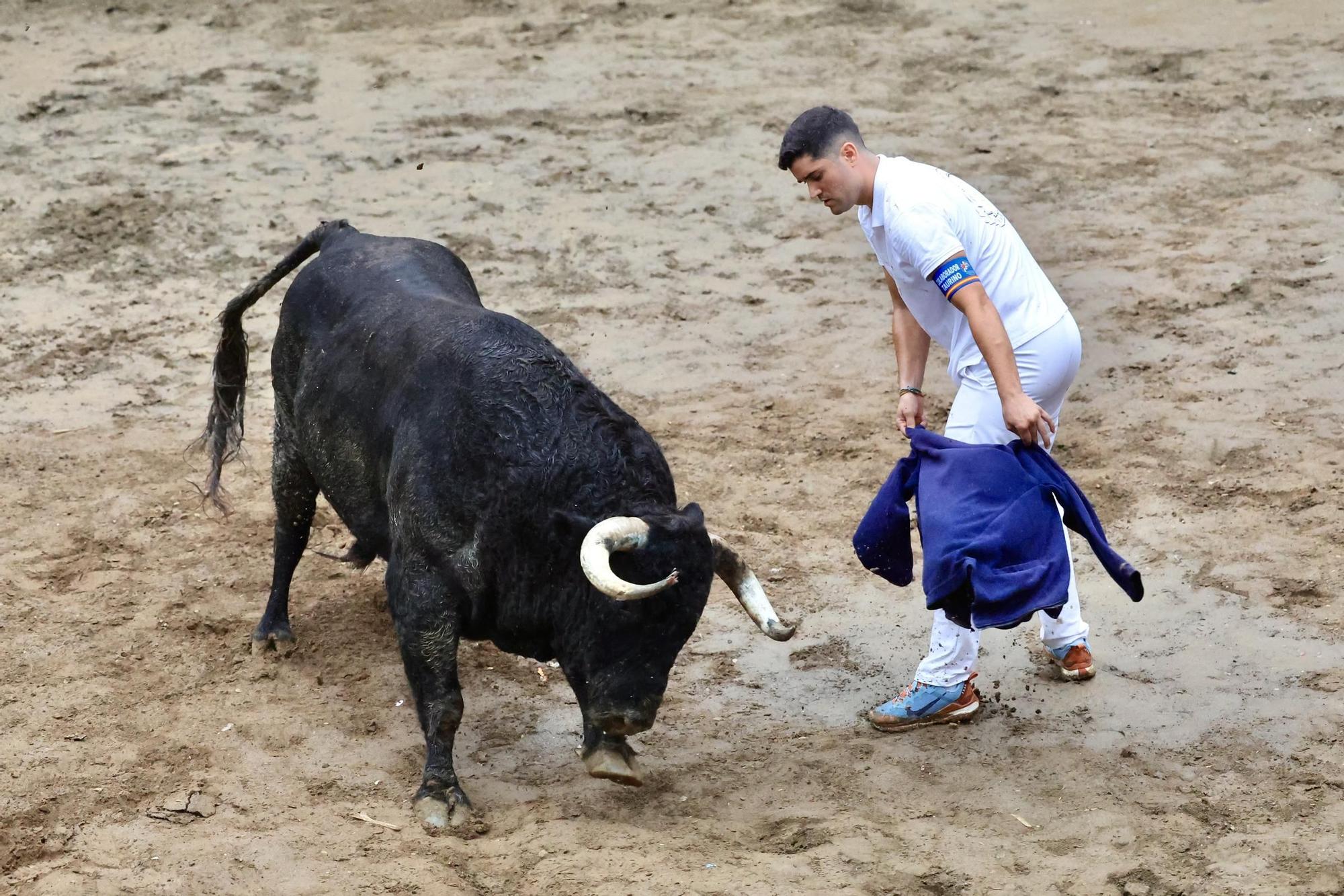 Galería de fotos de la penúltima tarde de toros de las fiestas del Roser en Almassora