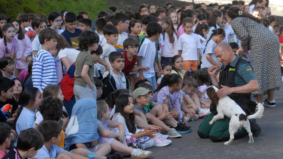 Los perros del Servicio Cinológico fueron muy aplaudidos por los estudiantes.