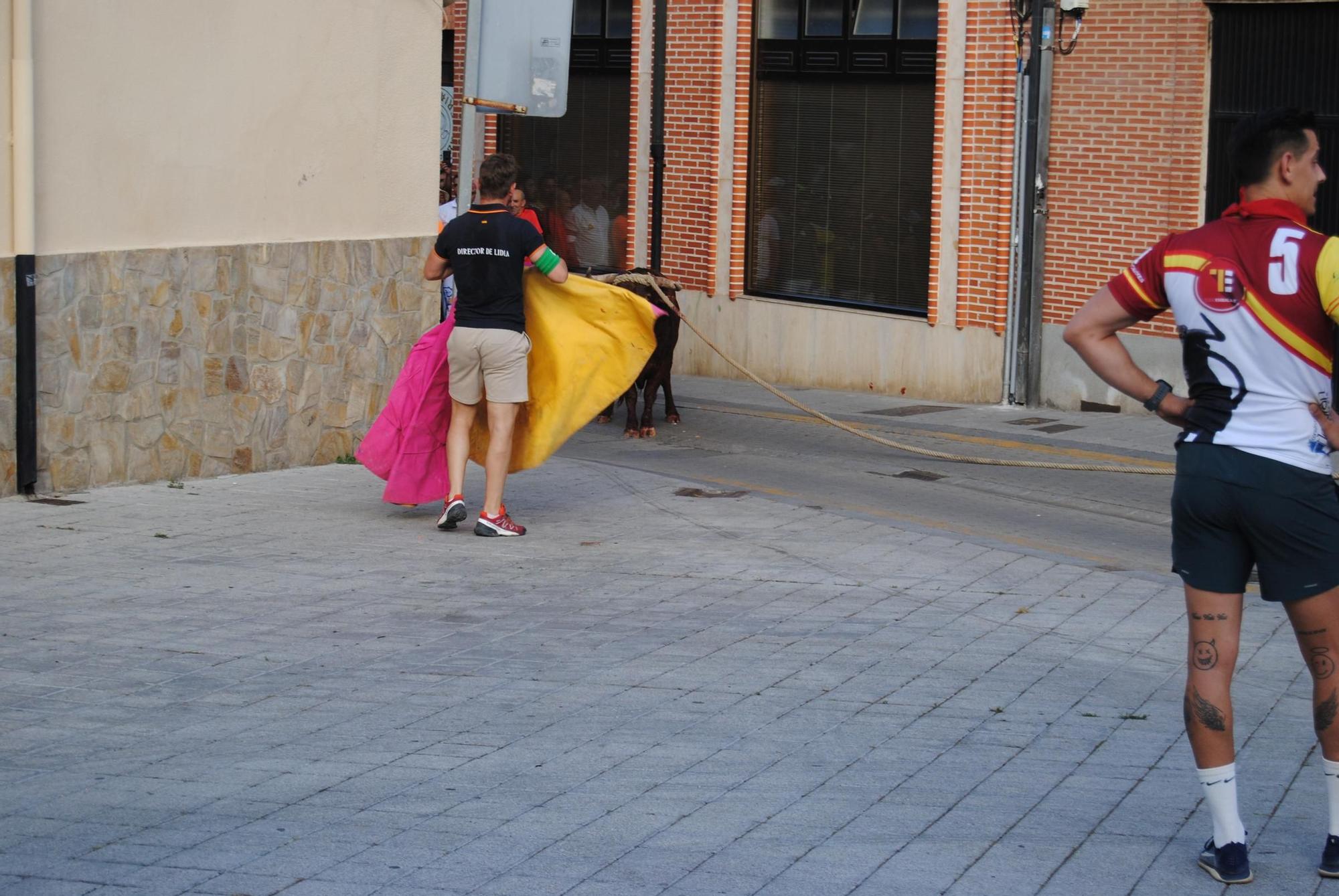 Así ha sido la carrera del torito Espléndido en Benavente