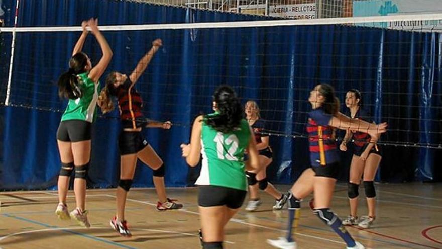 El voleibol de Sant Fruitósté quatre equips federats