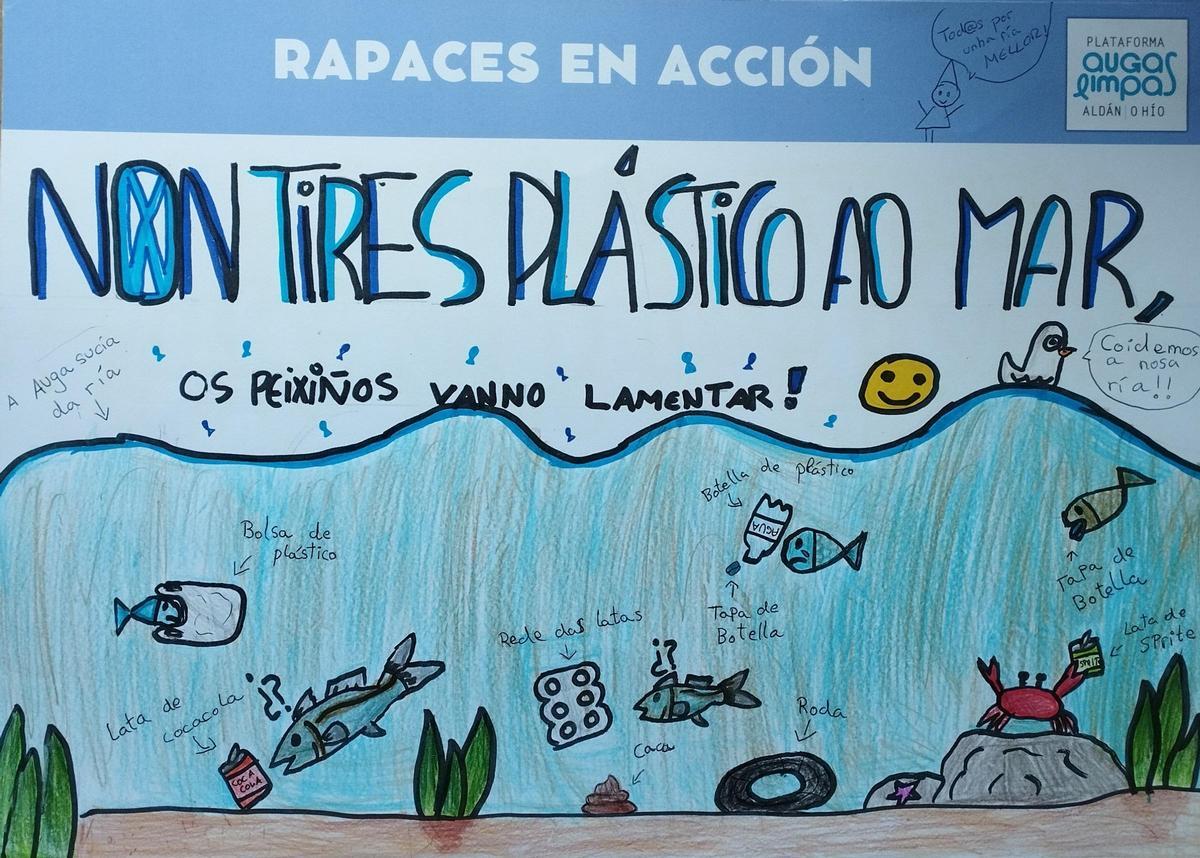 "Rapaces en acción", con los colegios de Aldán y O Hío para salvar la ría "Rapaces en acción", con los colegios de Aldán y O Hío para salvar la ría
