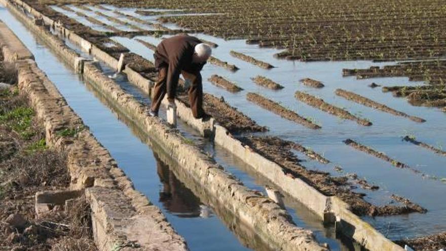 La mitad del regadío tradicional  rechaza vender agua a los agricultores del Trasvase