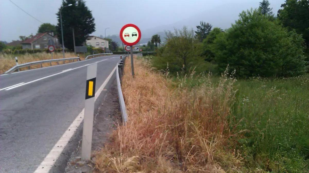 Carretera en la que se utilizaron herbicidas en las cunetas.