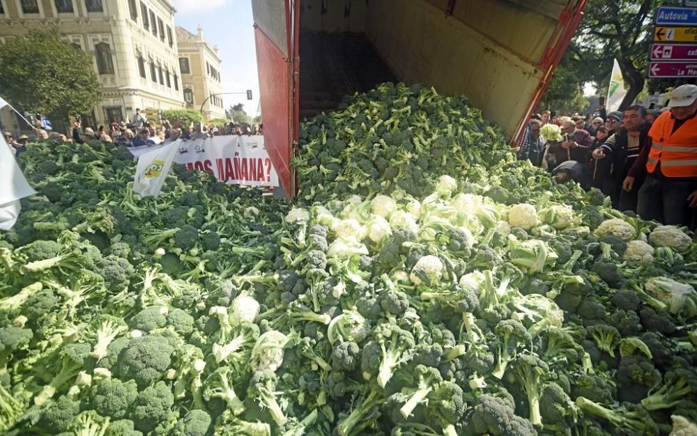 Así ha sido la manifestación de los agricultores en Murcia (II)