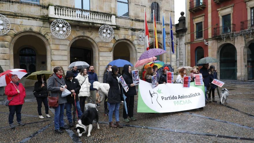 PACMA pide incluir a los perros de caza en la ley de Protección Animal