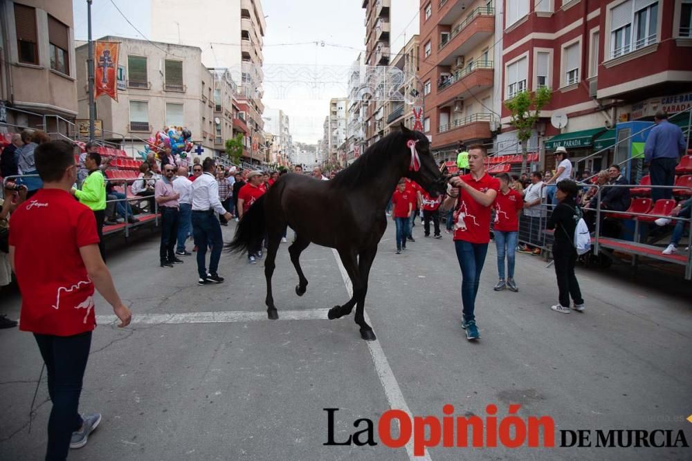 Caballos del Vino: Concurso morfológico (salida Pl