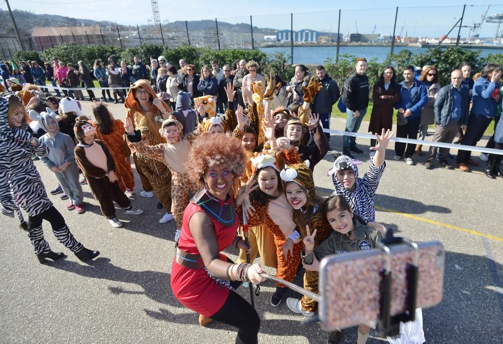 Entroido 2017 | Arranca el entroido en Pontevedra