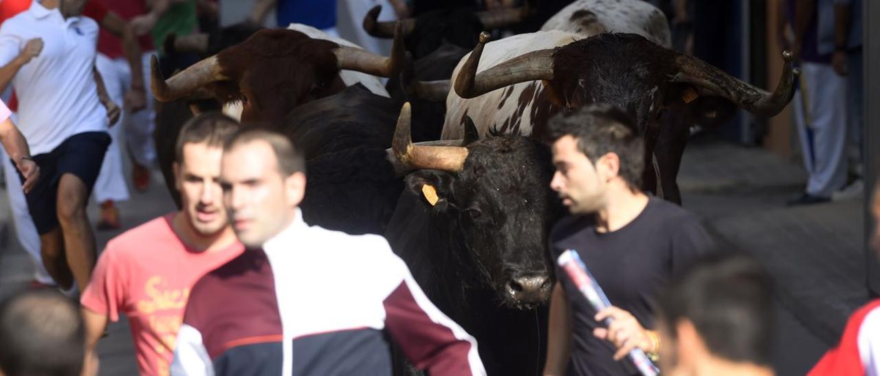 El 9 de octubre tendrá lugar la recuperación de la tradicional carrera por las calles de la Vila de Almassora