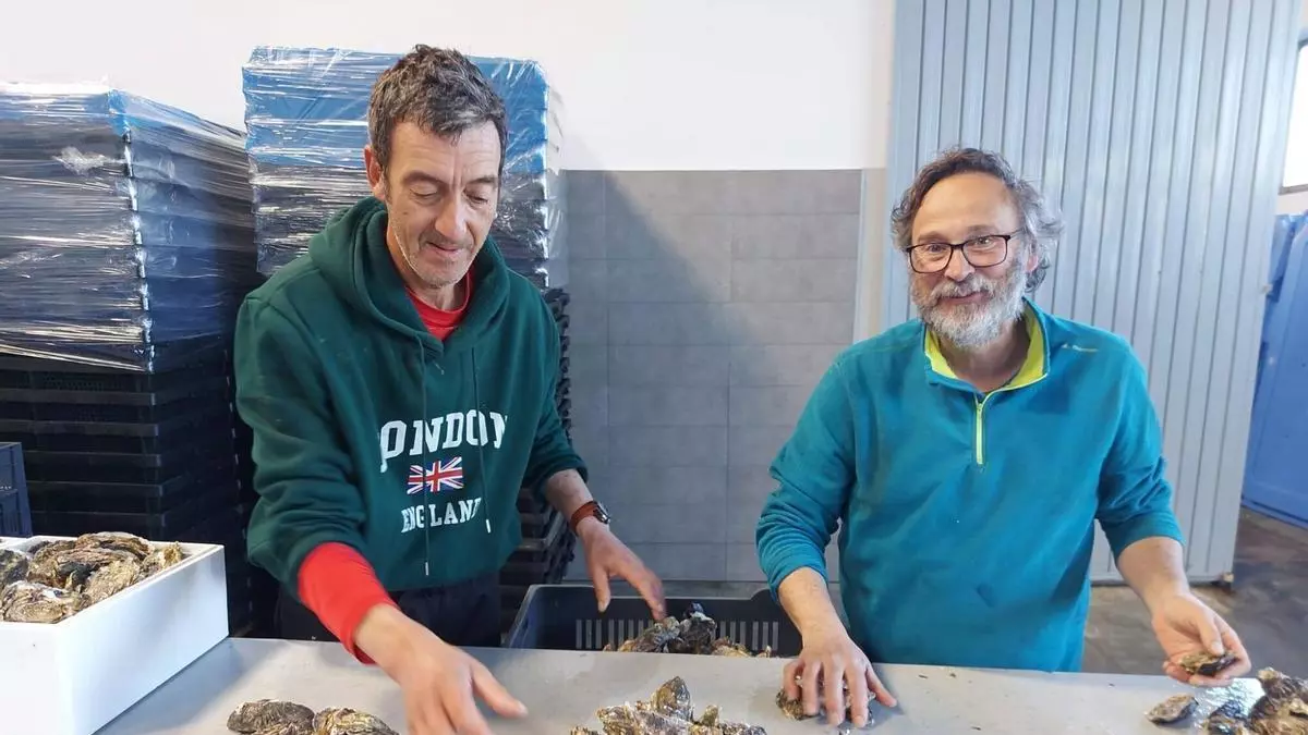 Los 34 años de Eduardo Martín cultivando ostras en el Eo y sobreviviendo a una crisis en el mercado francés, a un herpesvirus y a una pandemia