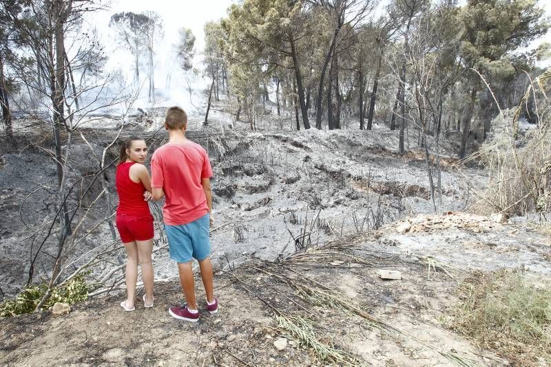 Imágenes del incendio en Alcañiz