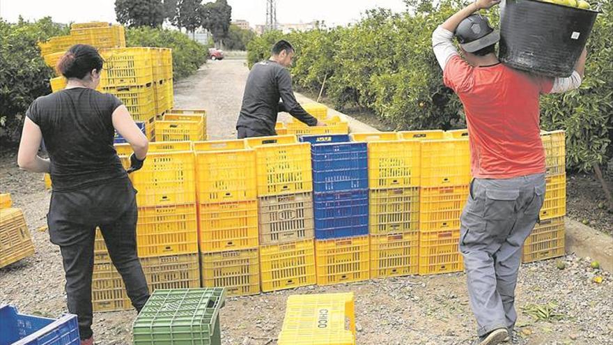 Alerta por la falta de collidors cara a una campaña con más contratos