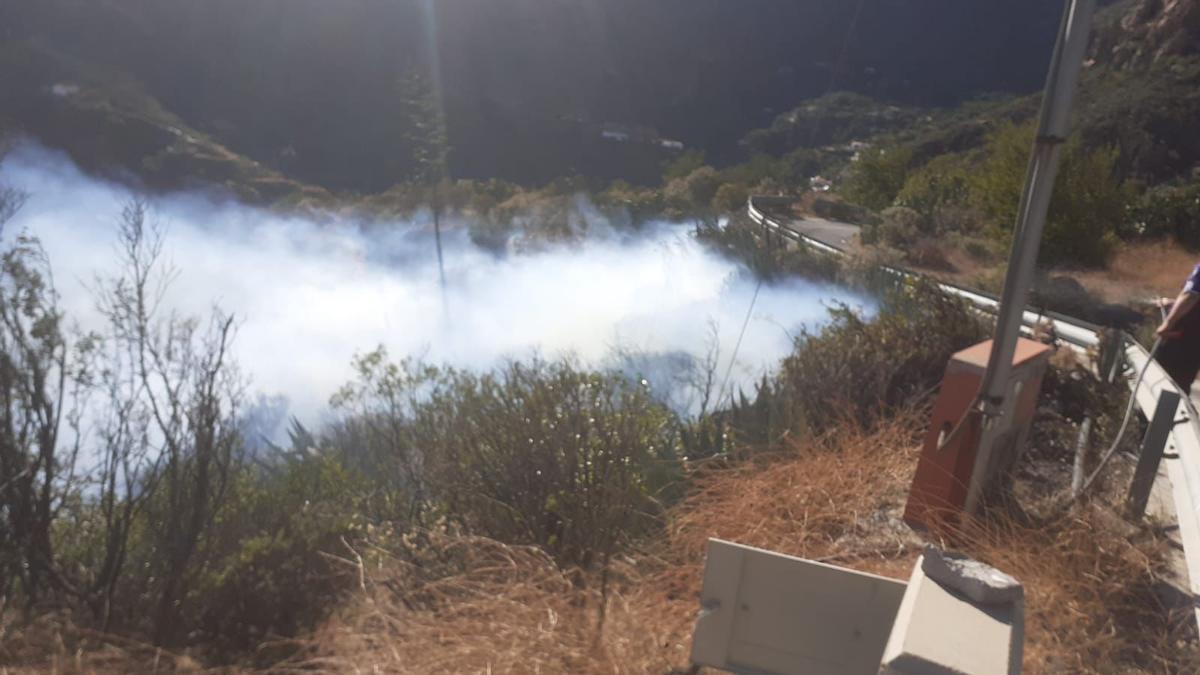 Incendio en Risco Blanco, en San Bartolomé de Tirajana (29/06/2021)