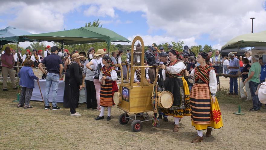 Se busca pueblo para acoger el Día de la Comarca de Aliste, Tábara y Alba de 2024, 2025 y 2026
