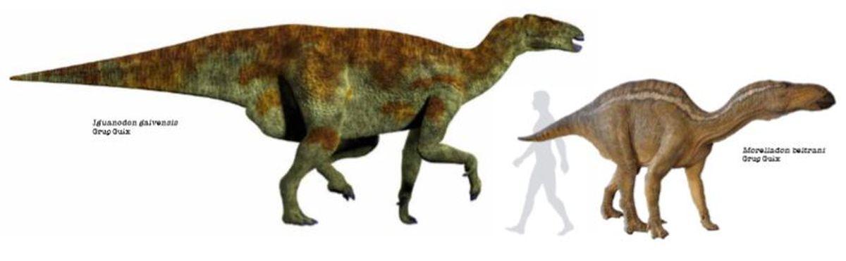 La majoria de les imatges de dinosaures que hi ha al llibre 'Dinosauria' van acompanyades de la d'un ésser humà per a visualitzar el tamany dels animals.