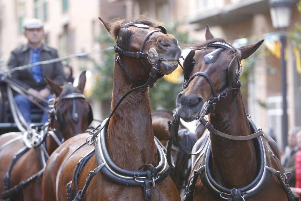 Sant Antoni en Valencia 2017