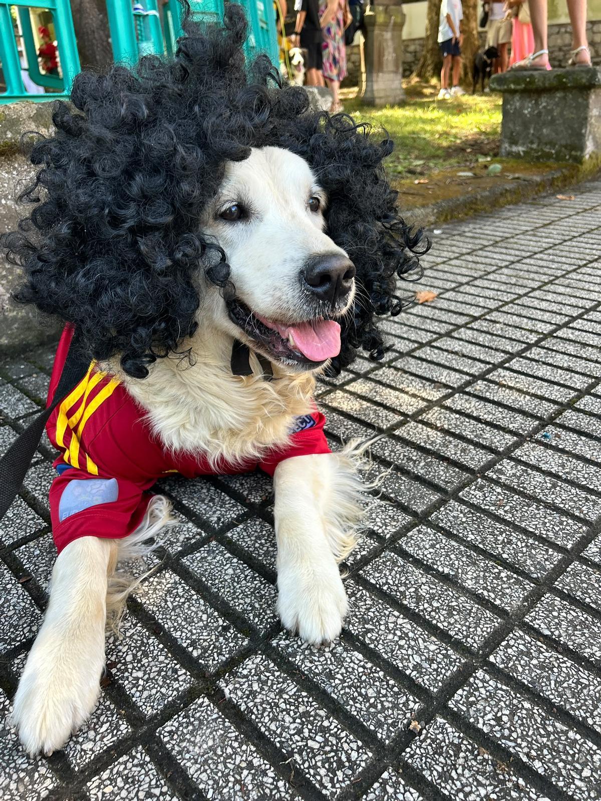Cucurella, la perra que enamora a Somió