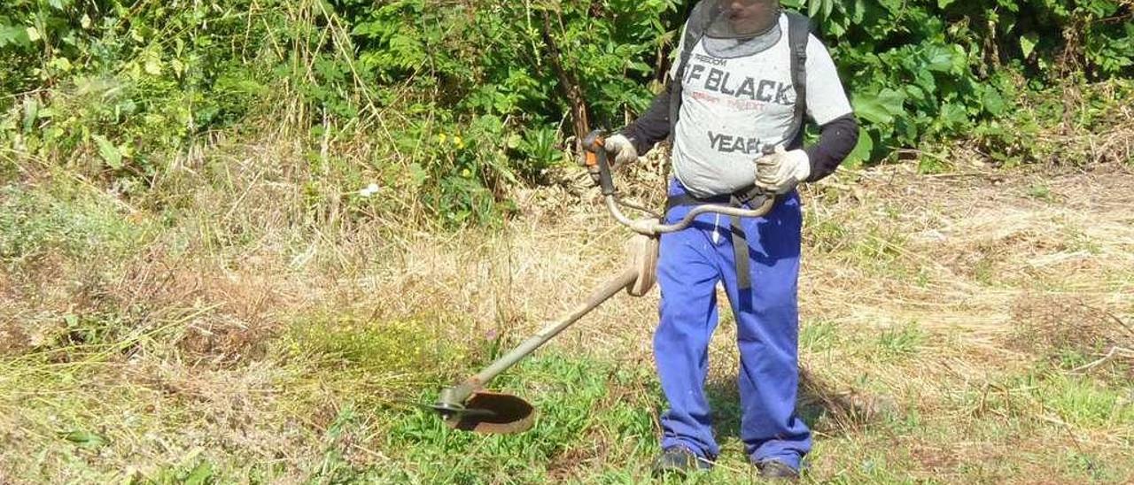 Un operario desbrozando una finca en el concello de Ourense. // Iñaki Osorio.