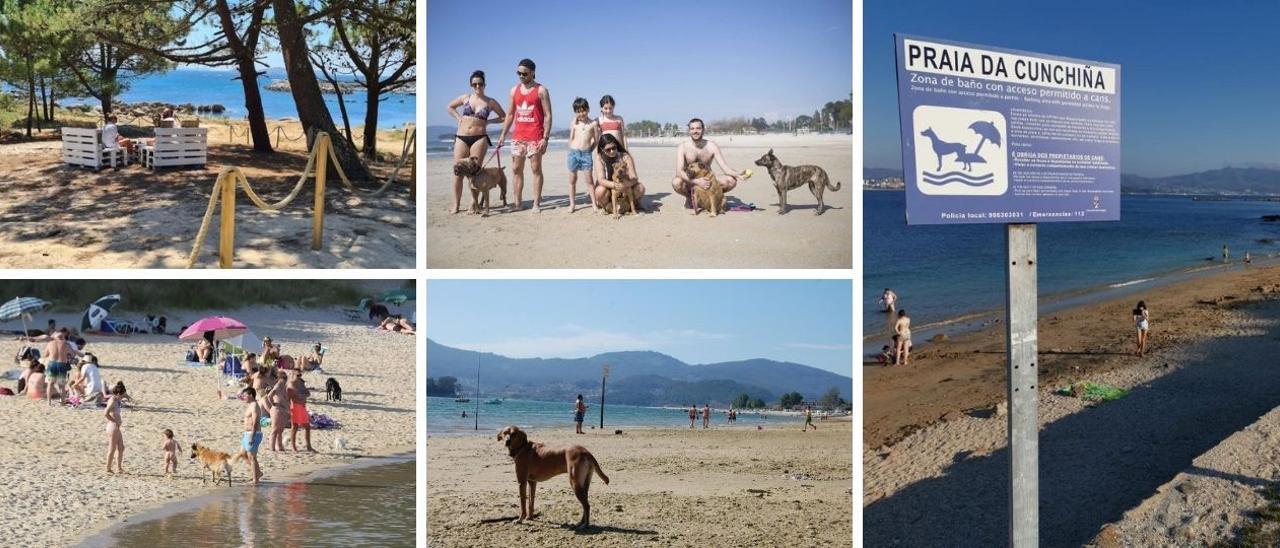 Turismo en Galicia | Estas son las playas gallegas a las que puedes ir con  tu perro este verano