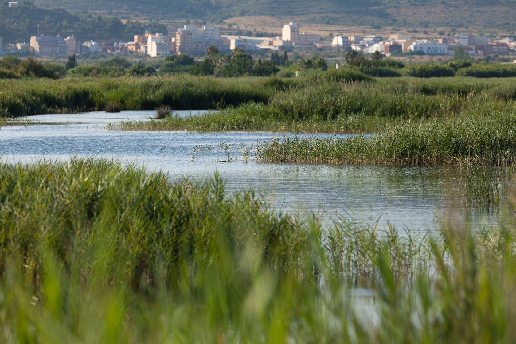 Parque Natural Prat de Cabanes