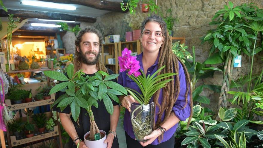 La floristería de A Coruña donde las plantas se curan y se van de vacaciones: "Somos hospital y guardería"