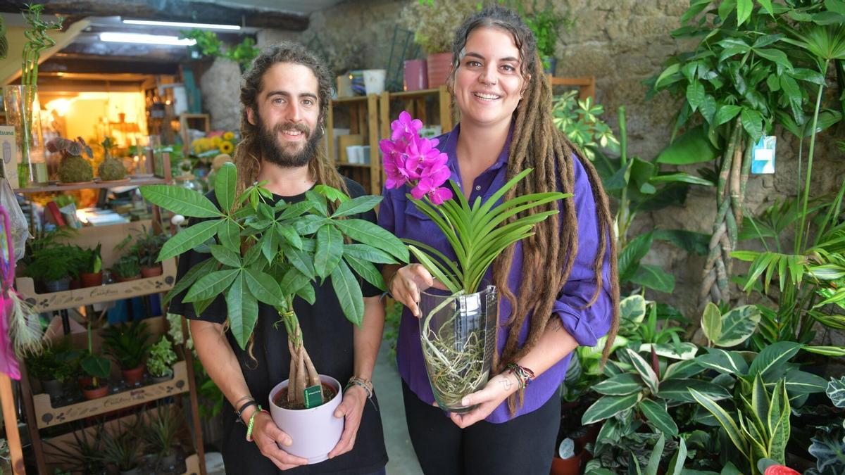 La floristería de A Coruña donde las plantas se curan y se van de vacaciones: "Somos hospital y guardería"