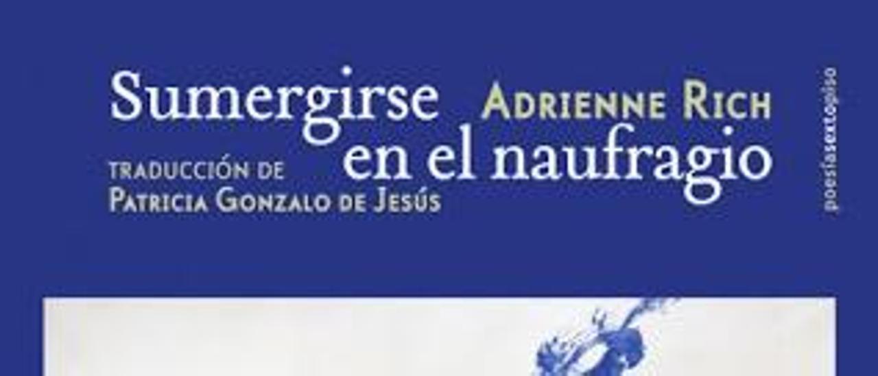 Sumergirse  en el naufragio Adrienne Rich Editorial Sexto Piso 138 páginas, 20 €