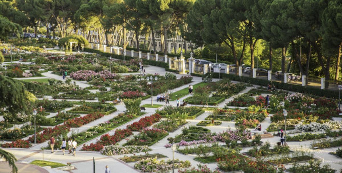 Rosaleda del Parque del Oeste