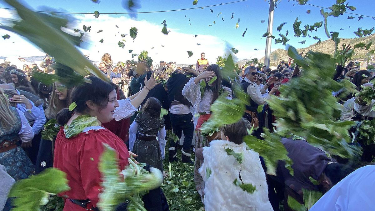 Lechugas al cielo para una batalla campal en Villena
