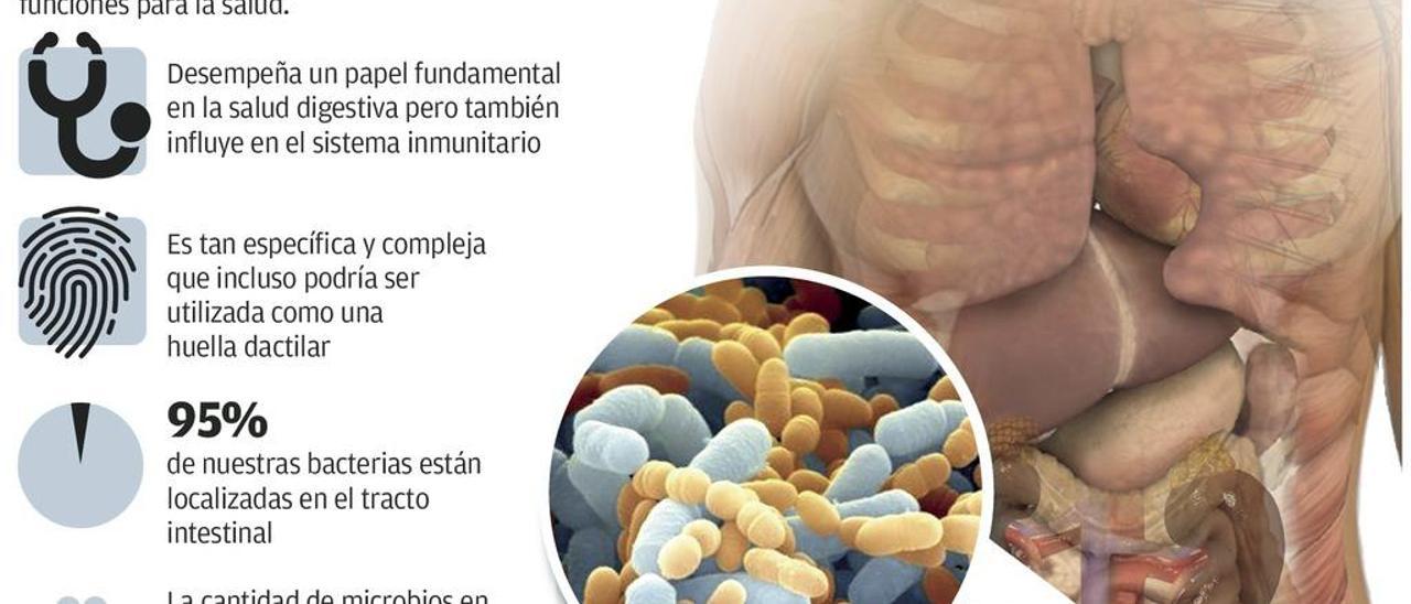 Los antibióticos en el parto perjudican la flora intestinal del bebé, según un estudio