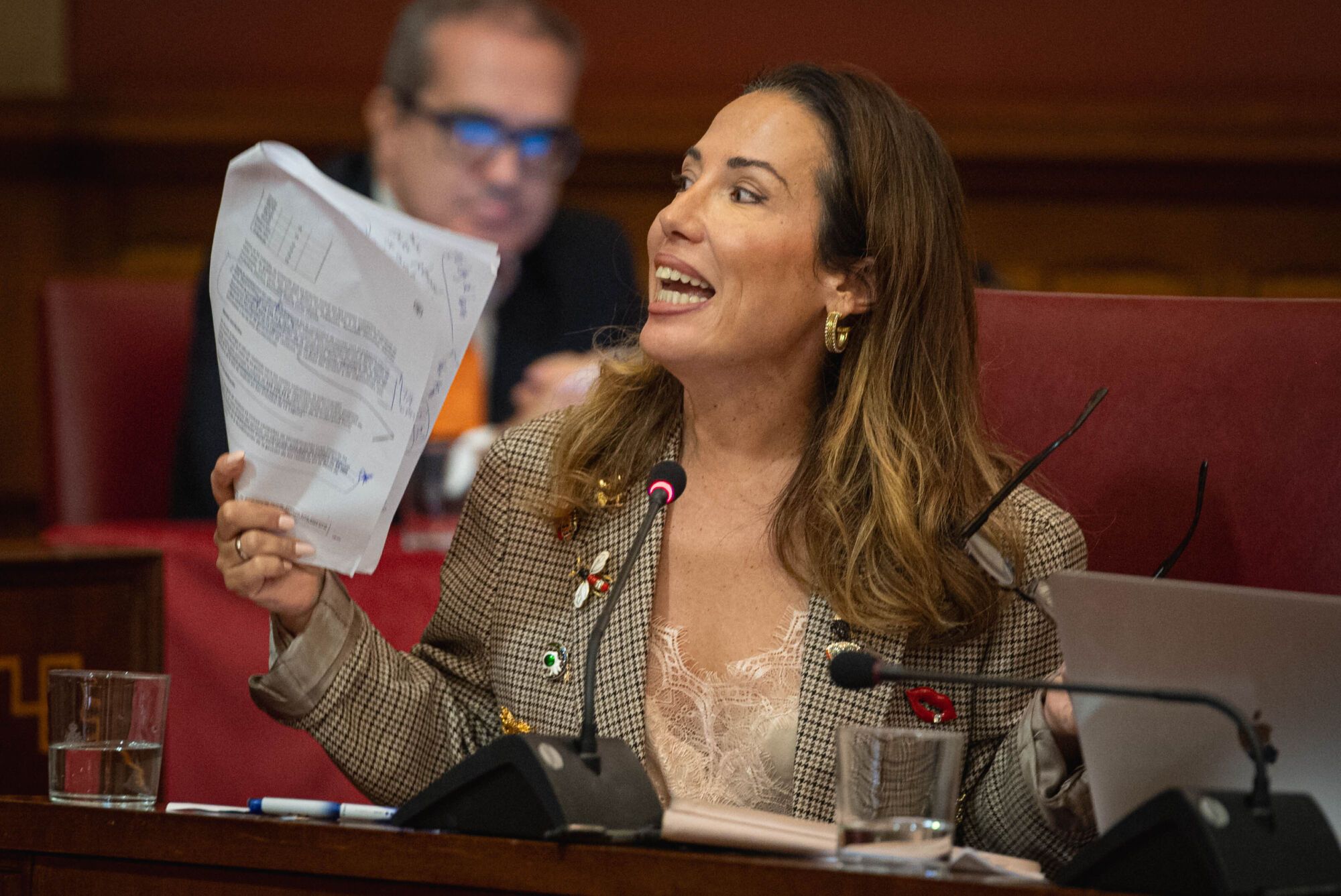 Pleno del Ayuntamiento de Santa Cruz