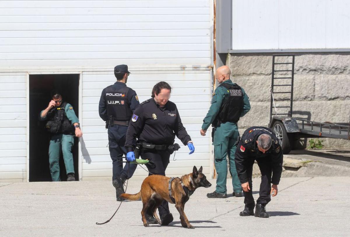 La unidad canina de la Policía
Nacional participó en el
operativo.   | // IÑAKI ABELLA