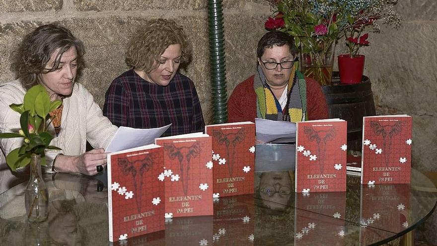 Un momento da presentación de &quot;Elefantes de Papel&quot; en Marín. // FdV