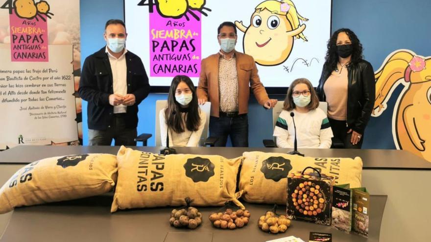 Preparations begin to celebrate the arrival of the pretty potato